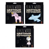 30-0099 КАРАНДАШИ ЦВЕТНЫЕ ПЛАСТИКОВЫЕ  "BlackWoodColor", 24 ЦВЕТА, 3 ВИДА - КОЛОРЛОН ВТД Новосибирск