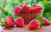 Сервировочная салфетка ПВХ 26х41см Клубника Х-088 - КОЛОРЛОН ВТД Новосибирск