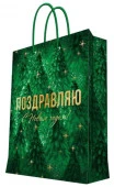 Бумажный пакет 33x45,7x10,2см арт.93142FE - КОЛОРЛОН ВТД Новосибирск