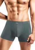 CLEVER MSH608710/8 Трусы мужские шорты удлиненные (База хлопок 2), 46, Т.хаки - КОЛОРЛОН ВТД Новосибирск