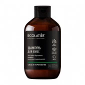 ***ECOLATIER MAN  Мужской шампунь СИЛА И УКРЕПЛЕНИЕ, 400 мл - КОЛОРЛОН ВТД Новосибирск