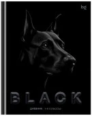 Дневник 1-11 кл. 48л. (твердый) BG "Just Black", soft-touch ламинация 376709 - КОЛОРЛОН ВТД Новосибирск