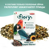 FIORY корм для средних попугаев Parrocchetti African 800 г - КОЛОРЛОН ВТД Новосибирск