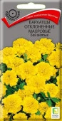 Бархатцы Бой желтый махровый 0,4г. h=25 d=4.5 (Поиск) - КОЛОРЛОН ВТД Новосибирск
