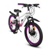 CR-B2-12SSH0220WP Велосипед 2х кол.CITYRIDE,сталь,кол.20",21ск,амор.вил,диск.мех.тор,бел-роз - КОЛОРЛОН ВТД Новосибирск