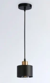 Подвес лофт TR8113 BK/BS черный/латунь E27 max 40W D120*940 - КОЛОРЛОН ВТД Новосибирск