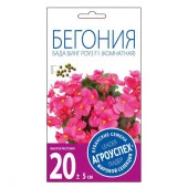Бегония Бада Бинг Роуз вечноцветущая *10 шт Новинка! (Агроуспех) - КОЛОРЛОН ВТД Новосибирск