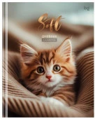 Дневник 1-4 кл. 48л. (твердый) BG "Мягкий", матовая ламинация 376842 - КОЛОРЛОН ВТД Новосибирск