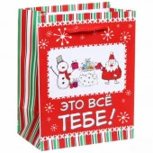 ***Пакет 11х14 см матовый "Это все тебе!", Снежон и Борода, вертикальный - КОЛОРЛОН ВТД Новосибирск
