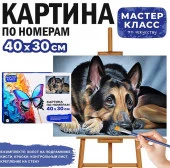 MKR4030-31 Картина по номерам "Овчарка" 30х40 см.Мастер класс - КОЛОРЛОН ВТД Новосибирск