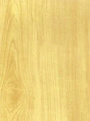 8108х24 Пленка самокл.ColorDecor 0.45* 8 м (Дерево) - КОЛОРЛОН ВТД Новосибирск