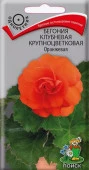 Бегония Оранжевая 5шт, крупноцветковая (Поиск) - КОЛОРЛОН ВТД Новосибирск