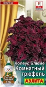 Колеус Комнатный трюфель 5шт (Аэлита) - КОЛОРЛОН ВТД Новосибирск