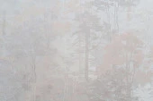 Обои Артекс 11218-02, 1,06*10м (Форест) - КОЛОРЛОН ВТД Новосибирск