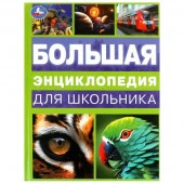 383941 Большая энциклопедия для школьника. Энциклопедия. 197х255 мм. 7БЦ. 144 стр. Умка в кор.10шт - КОЛОРЛОН ВТД Новосибирск
