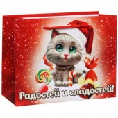 Пакет 11х14 см глянцевый "Успехов в Новом году!", Котенок, горизонтальный - КОЛОРЛОН ВТД Новосибирск