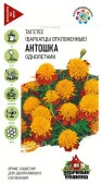 Бархатцы Антошка откл. 0.3гр серия Удачные семена  (Гавриш) цв - КОЛОРЛОН ВТД Новосибирск