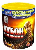Кубок чемпиона 18/1 - КОЛОРЛОН ВТД Новосибирск