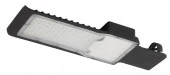 30W Led Эра SPP-503-0-50K-030 IP65 5000К (КСС "Д") DOB 4 Уличный светильник - КОЛОРЛОН ВТД Новосибирск
