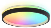 Светильник FZ610 BK/GD черный/золото IP20 66W 3000K-6500K+RGB D490*85 (ПДУ ИК) - КОЛОРЛОН ВТД Новосибирск