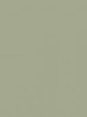 2021х24 Пленка цв.самокл.ColorDecor 0.45* 8 м (Однотон) - КОЛОРЛОН ВТД Новосибирск