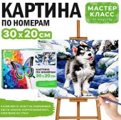MKR3020-3 Набор для рисования "Картина по номерам 30х20 см. Хаски на прогулке" - КОЛОРЛОН ВТД Новосибирск