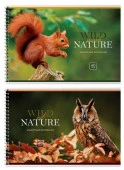 Альбом для рисования 40л., А4, на гребне BG "Wild nature" - КОЛОРЛОН ВТД Новосибирск