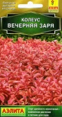 Колеус Вечерняя Заря 10шт (Аэлита) цв - КОЛОРЛОН ВТД Новосибирск