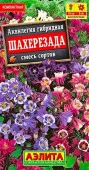 Аквилегия Шехерезада 0.1г, смесь окрасок (Аэлита) - КОЛОРЛОН ВТД Новосибирск