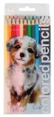 30-0046/01 КАРАНДАШИ ЦВЕТНЫЕ "CUTE FRIENDS. ЩЕНОЧЕК" 12 ЦВ., В PET КОРОБКЕ - КОЛОРЛОН ВТД Новосибирск