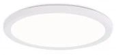 Светильник ультратонкий FZ1907 WH белый IP54 35W 3000K-6500K переключатель D450*25 - КОЛОРЛОН ВТД Новосибирск