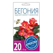 Бегония Бада Бинг Скарлет вечноцветущая *10 шт Новинка! (Агроуспех) - КОЛОРЛОН ВТД Новосибирск