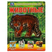 318173 Животные, энциклопедия (с вставками из прозр. пленки) 230х300мм 10стр Умка в кор.20шт - КОЛОРЛОН ВТД Новосибирск
