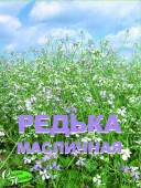 Редька масличная, коробка 200гр. (кор. 50шт) - КОЛОРЛОН ВТД Новосибирск