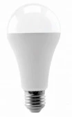 20W Лампа с/д LEEK LE A65 LED 20W 6K E27 (100) - КОЛОРЛОН ВТД Новосибирск
