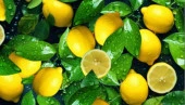 59194х24 Пленка самокл.ColorDecor 0.45* 8 м (Лимон) - КОЛОРЛОН ВТД Новосибирск