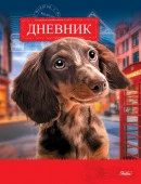 40ДТ5В_16903 Дневник для 1-11 кл. 40л А5ф тв.пер.-Милый щенок- - КОЛОРЛОН ВТД Новосибирск