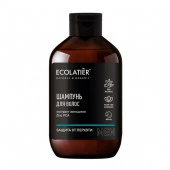 ECOLATIER MAN  Мужской шампунь ЗАЩИТА ОТ ПЕРХОТИ, 400 мл - КОЛОРЛОН ВТД Новосибирск