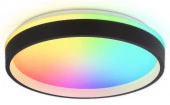 Светильник FZ604 BK/GD черный/золото IP20 46W 3000K-6500K+RGB D390*80 (ПДУ ИК) - КОЛОРЛОН ВТД Новосибирск