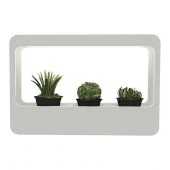 MG004 Gauss Фито-сад Светильник Led для растений, с адаптером  24V 480*320*138 "Basic" * - КОЛОРЛОН ВТД Новосибирск