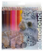 30-0053/01 КАРАНДАШИ ЦВЕТНЫЕ "CUTE FRIENDS. КОТ МАНУЛ" 24 ЦВ., В PET КОРОБКЕ - КОЛОРЛОН ВТД Новосибирск