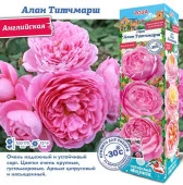 РОЗА "Алан Титчмарш (Английская)" (ДачиУдачи) короб 1шт. - КОЛОРЛОН ВТД Новосибирск