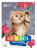 16Бц4_20982 "ECO" Набор бумаги цв. Двухстор.16л 16 цв. А4ф обл. мел.карт. на ск.-Котенок- - КОЛОРЛОН ВТД Новосибирск