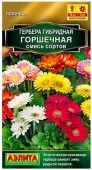 Гербера Горшечная 10шт, смесь сортов (Аэлита) - КОЛОРЛОН ВТД Новосибирск