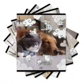 54161 ТЕТРАДЬ 48 Л, А5+, КЛ. ERICHKRAUSE DREAM CAT, ПЛАСТ. ОБЛ. НА СКОБЕ, MIX-PACK /5/100/ - КОЛОРЛОН ВТД Новосибирск