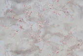 Обои Артекс 11459-04, 1,06*10м (Бель) - КОЛОРЛОН ВТД Новосибирск
