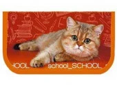 Пенал ОНИКС 1отд. 190*110 ПКК-03-5 "School cat" л/т 56611 - КОЛОРЛОН ВТД Новосибирск