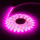 Светодиодная лента для растений ЭРА FITO-Strip Light-RB-2m красно-синего спектра, 2 м, IP65 - КОЛОРЛОН ВТД Новосибирск