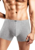 CLEVER MSH608710/8 Трусы мужские шорты удлиненные (База хлопок 2), 46, Меланж св.серый - КОЛОРЛОН ВТД Новосибирск