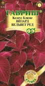 Колеус Визард Вельвет ред 5шт (Гавриш) - КОЛОРЛОН ВТД Новосибирск